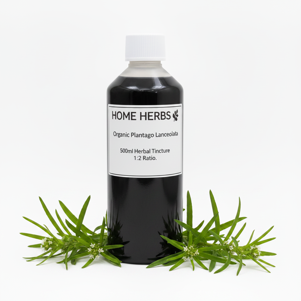 A 500ml bottle of Home Herbs Organic Plantago Lanceolata herbal tincture, displayed on a white background with green plantain leaves arranged at its base.