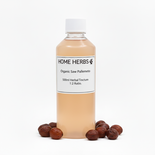 A 500ml clear plastic bottle of Home Herbs Organic Saw Palmetto herbal tincture, filled with a light tan liquid and topped with a white cap, displayed on a white background with several brown saw palmetto fruits at its base.