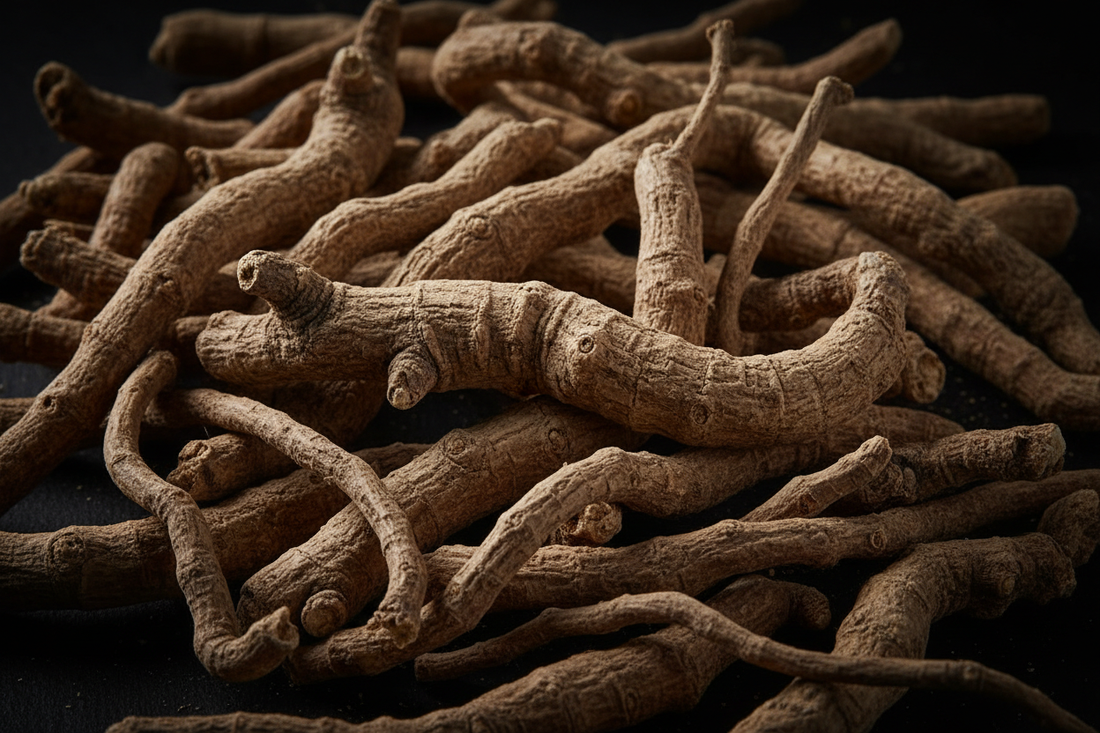 Ashwagandha Root – Traditional Uses & Herbal Information - HOME HERBS