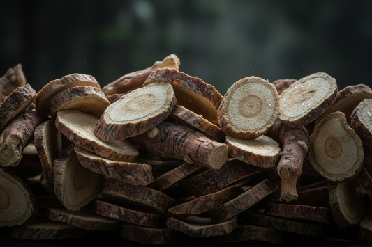 Astragalus Root – Traditional Uses & Herbal Information