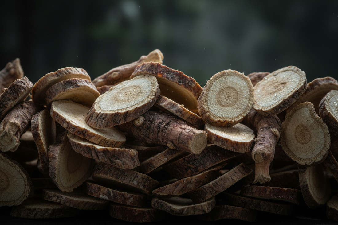 Astragalus Root – Traditional Uses & Herbal Information - HOME HERBS