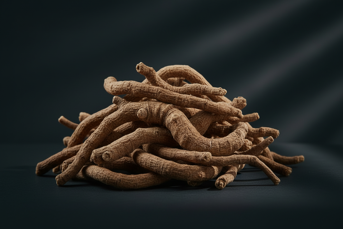 Fo-Ti Root – Traditional Uses & Herbal Information