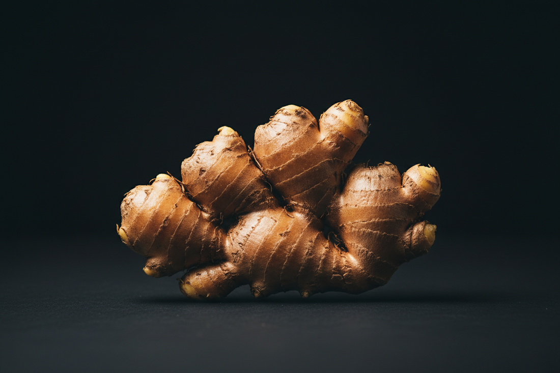 Ginger Root – Traditional Uses & Herbal Information - HOME HERBS