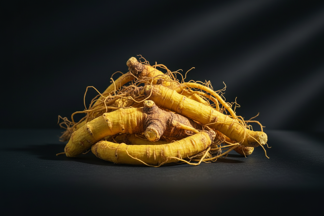 Goldenseal – Traditional Uses & Herbal Information – HOME HERBS