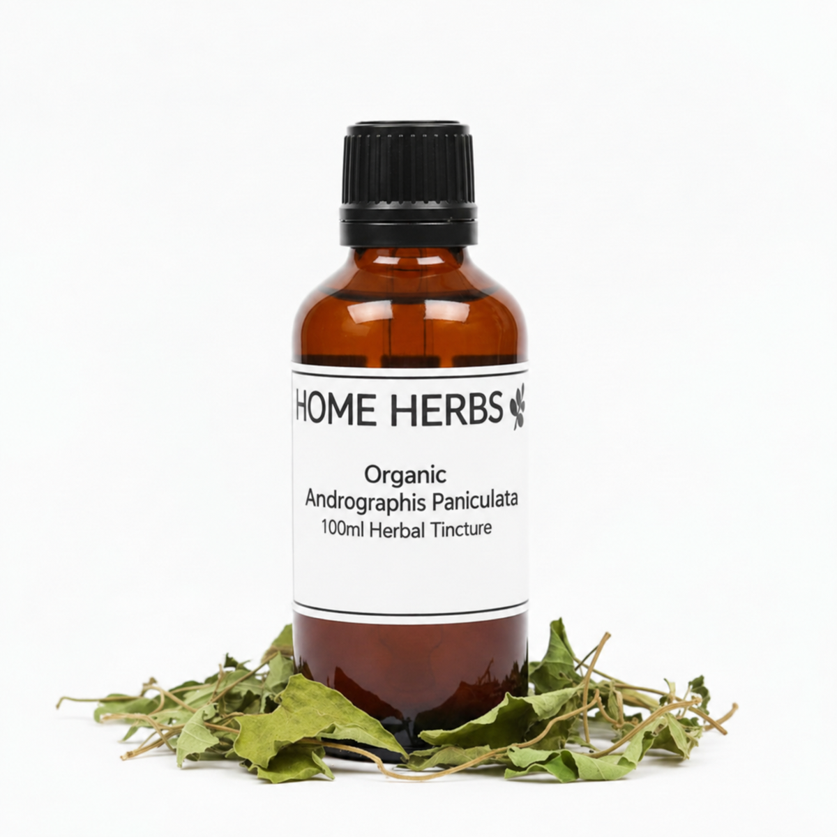 An amber glass bottle of Home Herbs Organic Andngrachis Panicaulta herbal tincture, surrounded by dried green herbs on a white background.