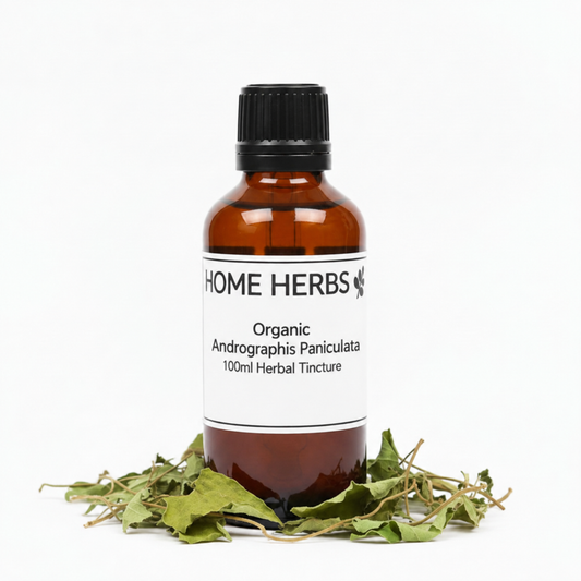 An amber glass bottle of Home Herbs Organic Andngrachis Panicaulta herbal tincture, surrounded by dried green herbs on a white background.