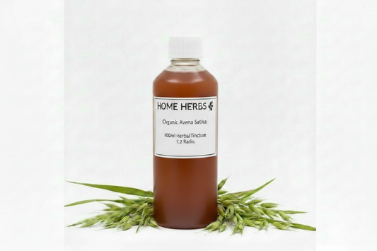 A 500ml bottle of Home Herbs Organic Avena Sativa herbal tincture, filled with an amber-brown liquid and topped with a white cap, displayed on a white background with green oat grass sprigs at its base.