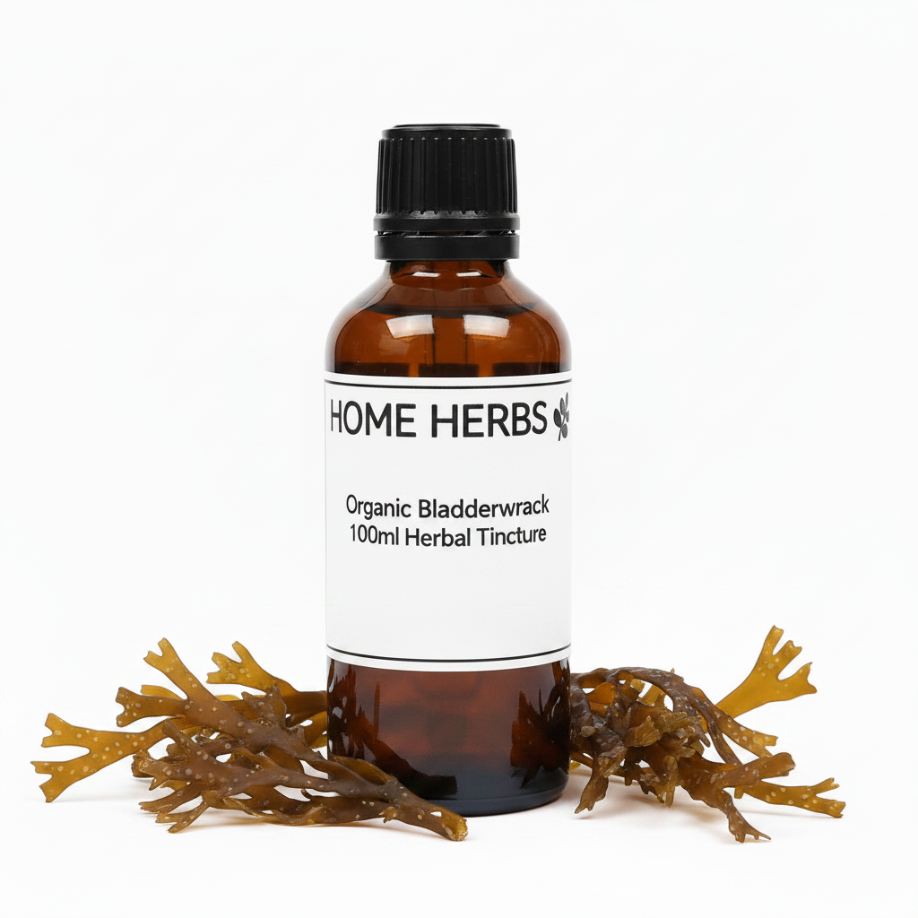 An amber glass bottle of Home Herbs Organic Bladderwrack 100ml Herbal Tincture with a black cap and white label, styled with dried bladderwrack seaweed on a white background.