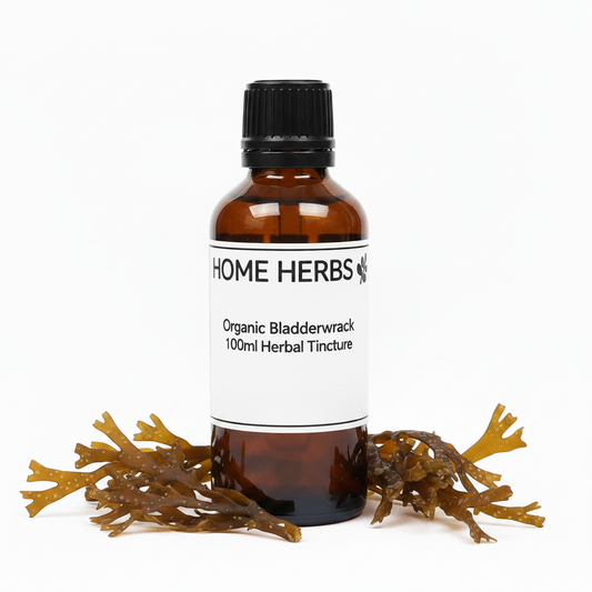 An amber glass bottle of Home Herbs Organic Bladderwrack 100ml Herbal Tincture with a black cap and white label, styled with dried bladderwrack seaweed on a white background.