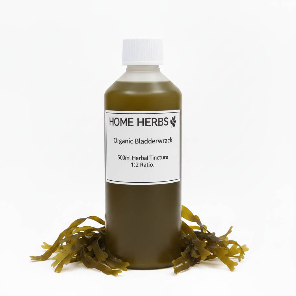 A 500ml bottle of Home Herbs Organic Bladderwrack herbal tincture, filled with an olive-brown liquid and topped with a white cap, displayed on a white background with dried bladderwrack seaweed scattered at its base.