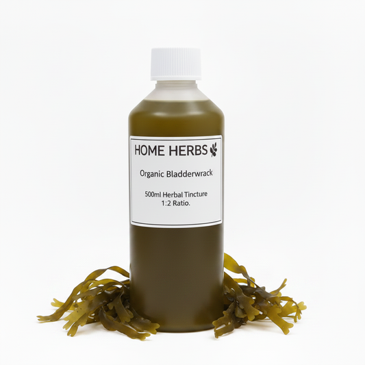 A 500ml bottle of Home Herbs Organic Bladderwrack herbal tincture, filled with an olive-brown liquid and topped with a white cap, displayed on a white background with dried bladderwrack seaweed scattered at its base.
