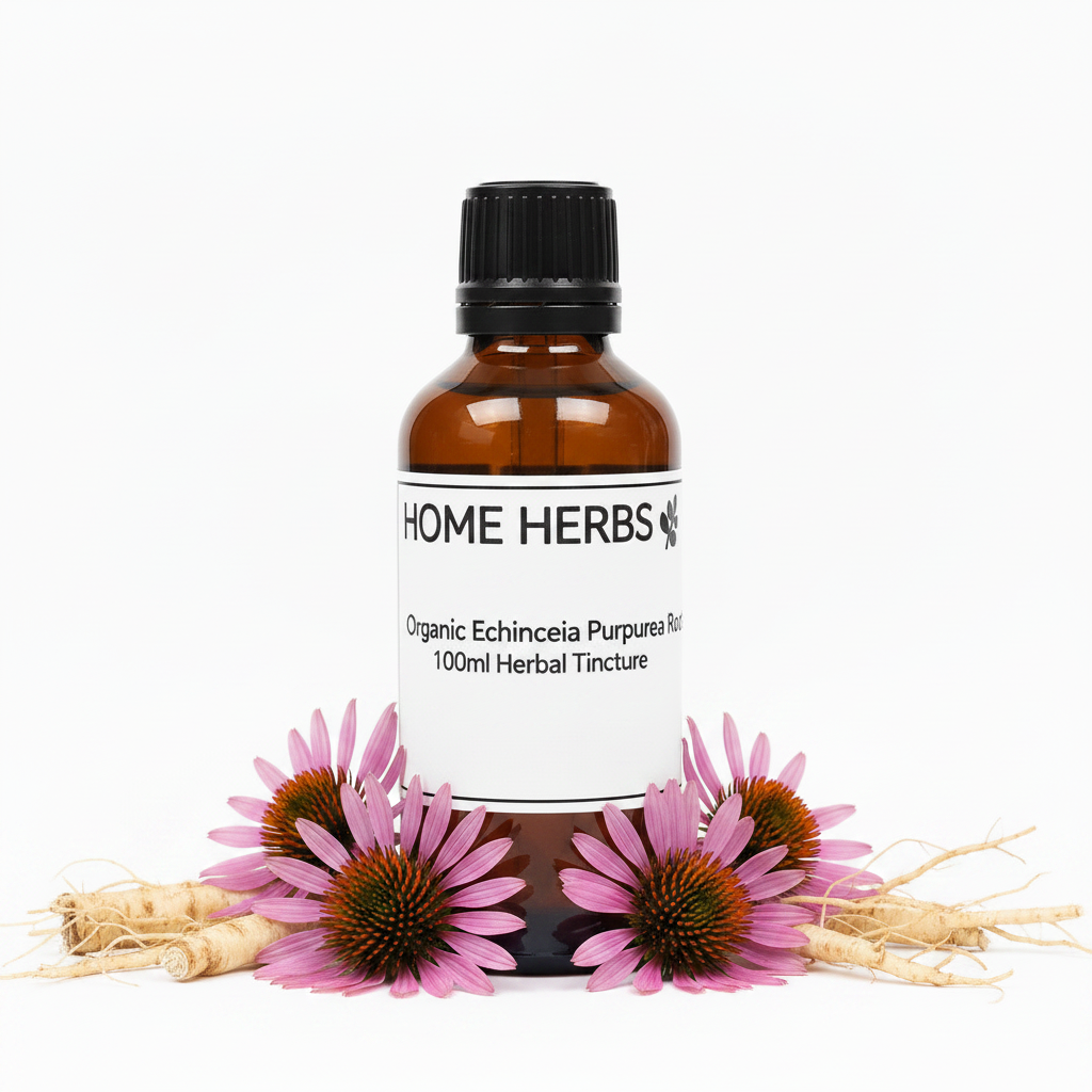 An amber glass bottle of Home Herbs Organic Echinacea Purpurea 100ml Herbal Tincture with a black cap and white label, styled with pink echinacea flowers and raw roots on a white background.