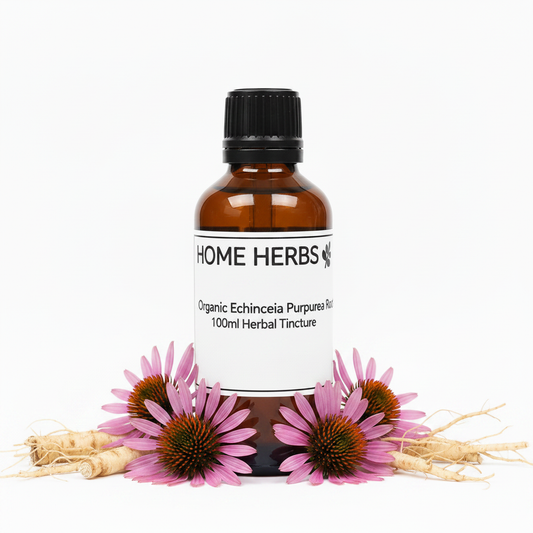 An amber glass bottle of Home Herbs Organic Echinacea Purpurea 100ml Herbal Tincture with a black cap and white label, styled with pink echinacea flowers and raw roots on a white background.
