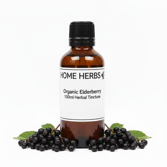 An amber glass bottle of Home Herbs Organic Elderberry 100ml Herbal Tincture, surrounded by fresh elderberries and green leaves on a white background.