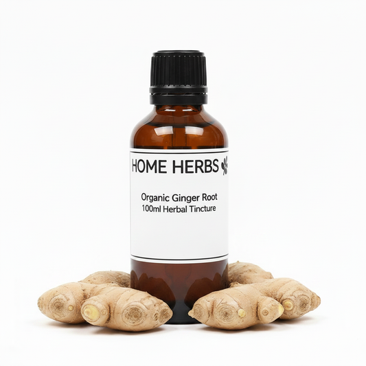 A 100ml amber glass bottle of Home Herbs Organic Ginger Root Herbal Tincture, surrounded by fresh ginger roots on a clean white background.