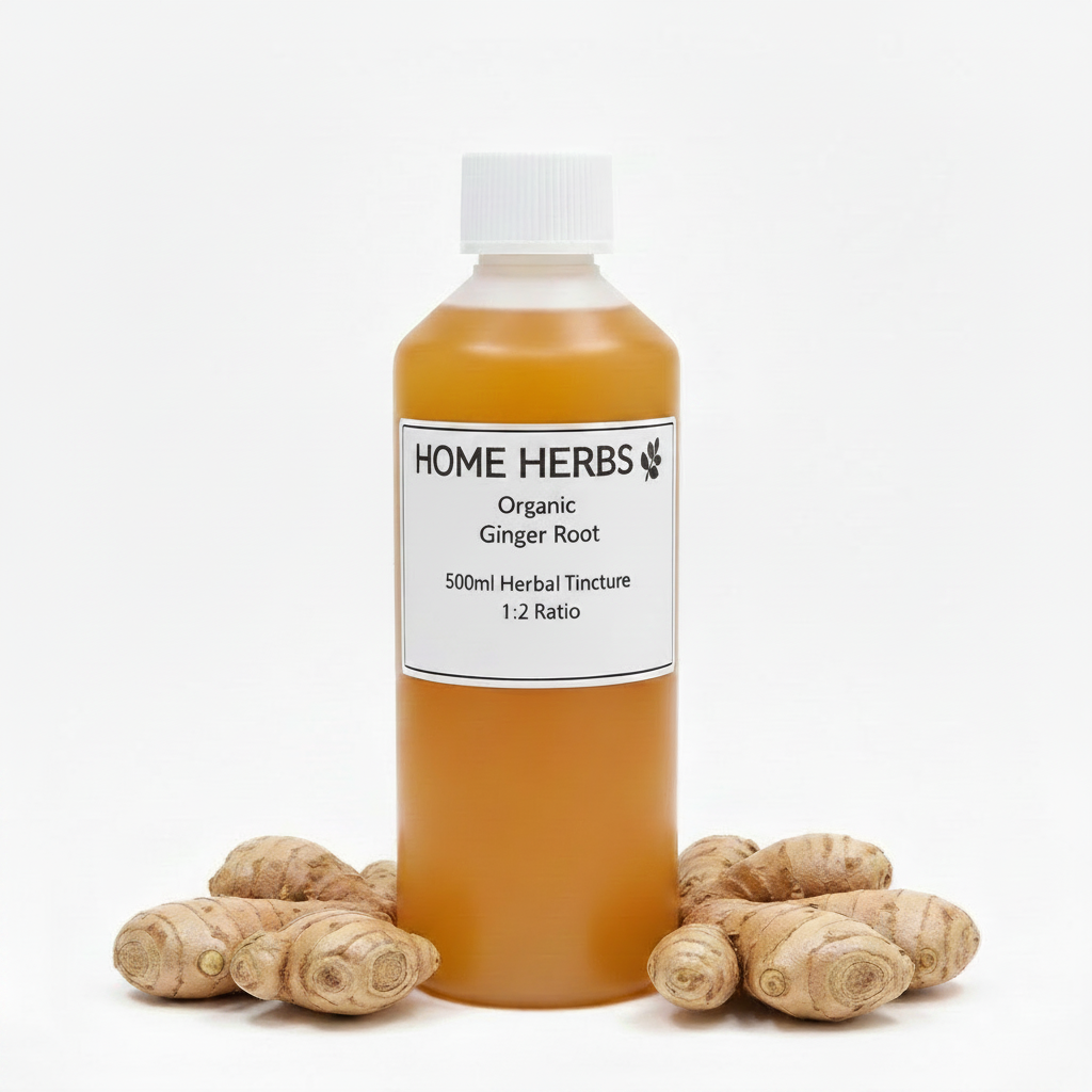A 500ml bottle of Home Herbs Organic Ginger Root herbal tincture, filled with amber-colored liquid and standing upright on a white background, flanked by several fresh ginger roots.