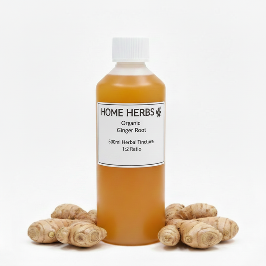 A 500ml bottle of Home Herbs Organic Ginger Root herbal tincture, filled with amber-colored liquid and standing upright on a white background, flanked by several fresh ginger roots.