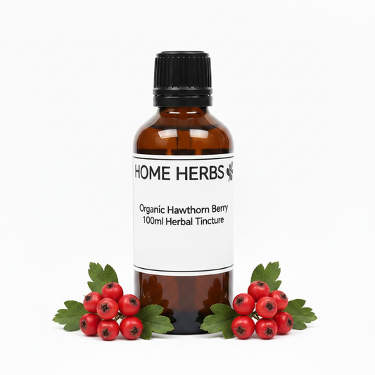 An amber glass bottle of Home Herbs Organic Hawthorn Berry 100ml Herbal Tincture with a black cap and white label, styled with fresh red berries and green leaves on a white background.