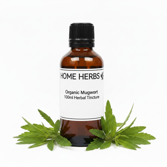 An amber glass bottle of Home Herbs Organic Mugwort 100ml Herbal Tincture with a black cap and white label, styled with fresh green mugwort leaves at the base on a white background.