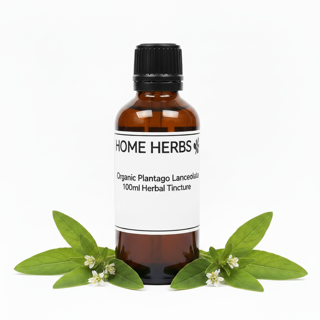 An amber glass bottle of Home Herbs Organic Plantago Lanceolata 100ml Herbal Tincture with a black cap and white label, styled with fresh green leaves and small white flowers on a white background.
