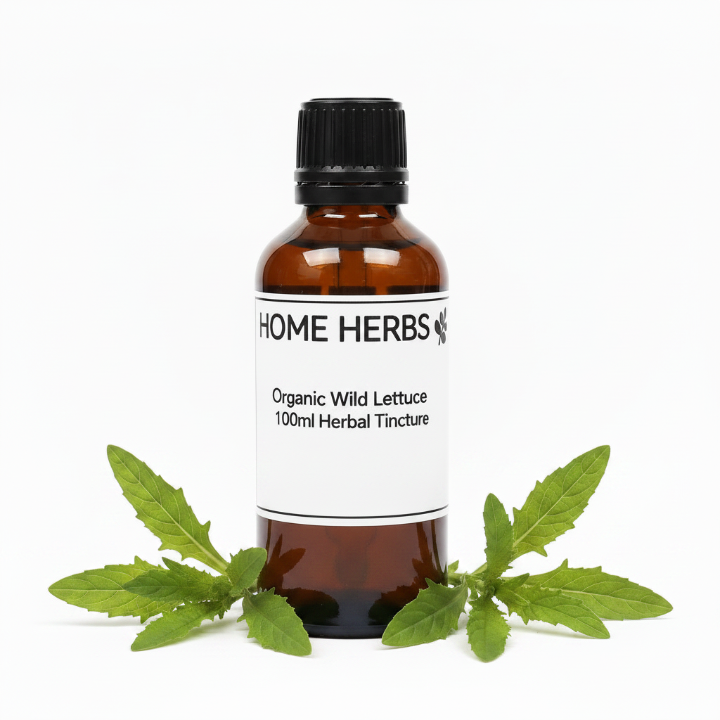 An amber glass bottle of Home Herbs Organic Wild Lettuce 100ml Herbal Tincture with a black cap and white label, styled with fresh green wild lettuce leaves on a white background.
