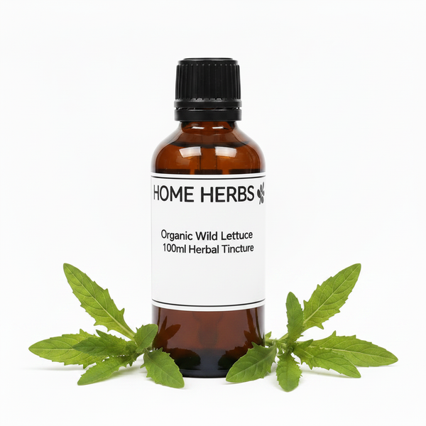 An amber glass bottle of Home Herbs Organic Wild Lettuce 100ml Herbal Tincture with a black cap and white label, styled with fresh green wild lettuce leaves on a white background.