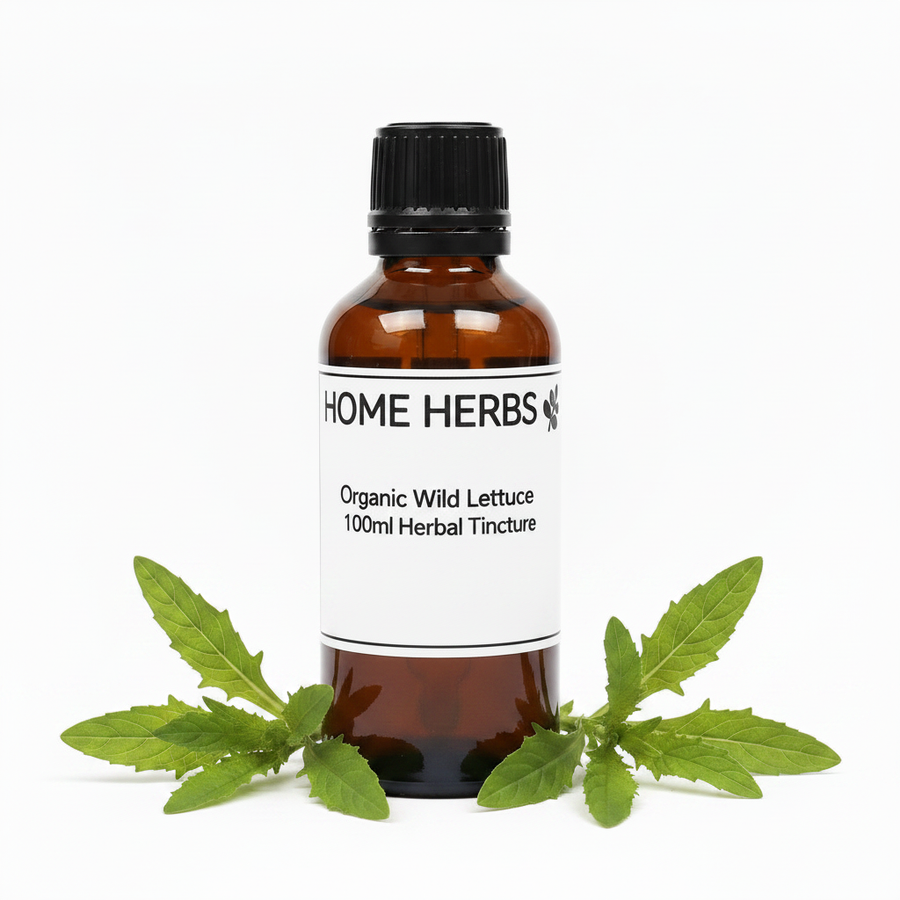 An amber glass bottle of Home Herbs Organic Wild Lettuce 100ml Herbal Tincture with a black cap and white label, styled with fresh green wild lettuce leaves on a white background.