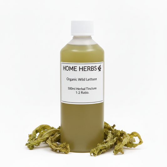 A 500ml bottle of Home Herbs Organic Wild Lettuce herbal tincture, filled with an olive-green liquid and topped with a white cap, displayed on a white background with dried wild lettuce leaves at its base.