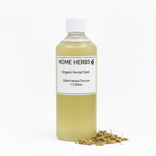 A 500ml clear plastic bottle of Home Herbs Organic Fennel Seed herbal tincture, filled with a pale yellow-green liquid and topped with a white cap, shown on a white background with a small pile of dried fennel seeds at its base.
