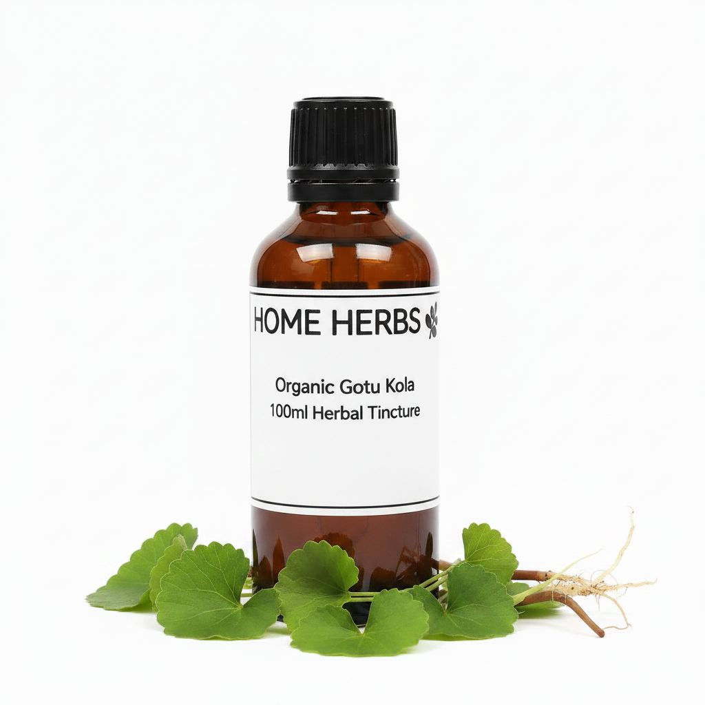 Gotu Kola 100ml Herbal Tincture