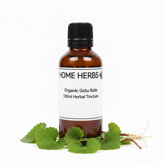 Gotu Kola 100ml Herbal Tincture
