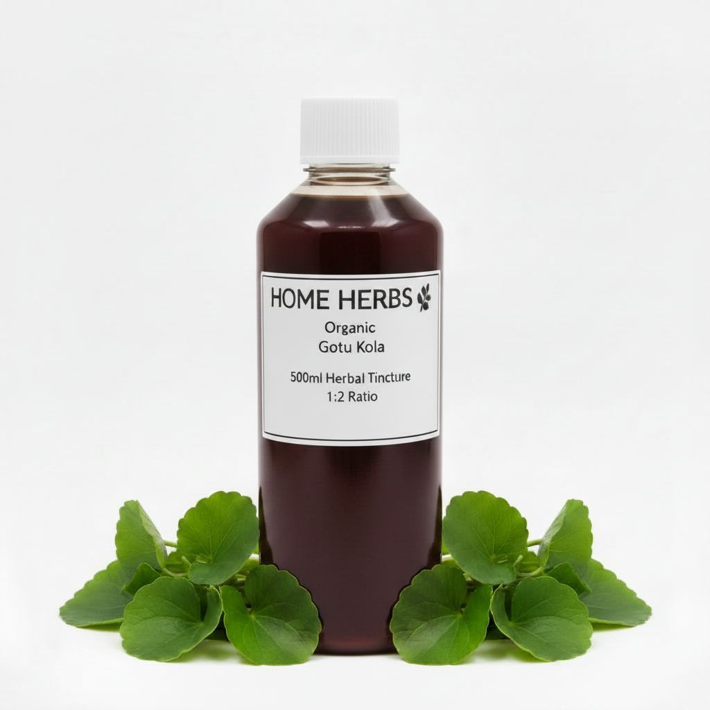 Gotu Kola 500ml Herbal Tincture