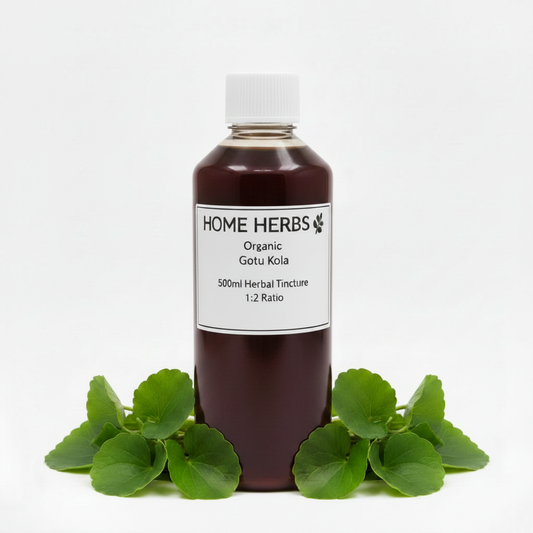 Gotu Kola 500ml Herbal Tincture