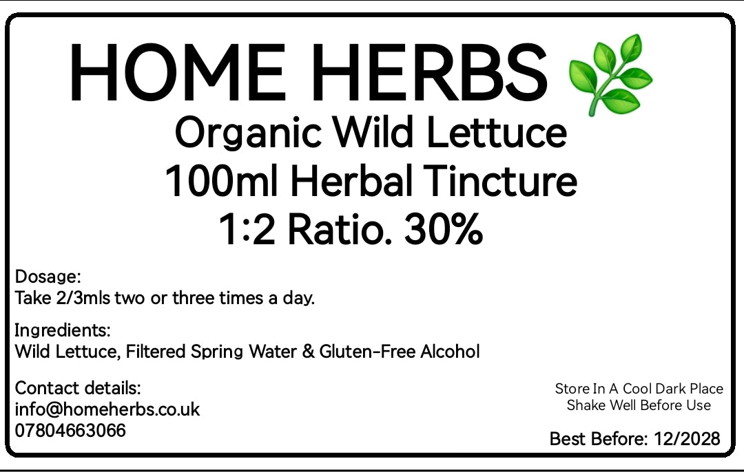 Organic Wild Lettuce Tincture – Premium Herbal Liquid Extract