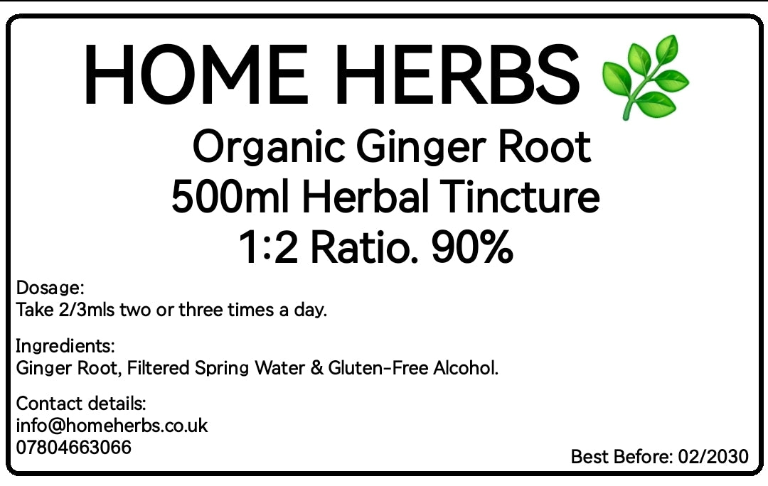 Organic Ginger Root Tincture – Premium Herbal Liquid Extract